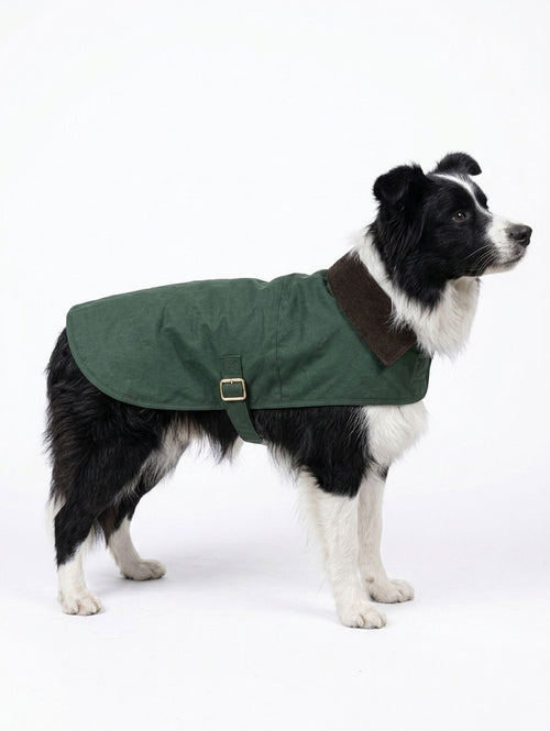 Chaqueta de algodón encerado para perros Drake Verde